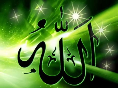 dntr.net Abdurrahman Önül - Nerdesin