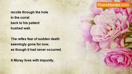 Stephen S. Yeandle - The Reef