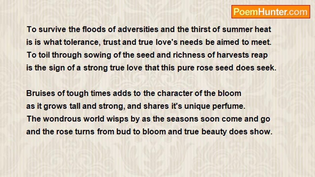 Colleen Wright - Bud to Bloom