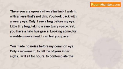 JOE POEWHIT - TINY TINY BUG