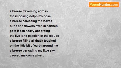 indira babbellapati - through a transparent tear...