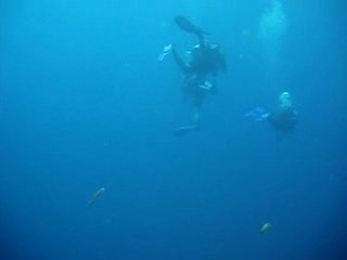 Divezone.net, Plongee Havelock, Iles Andaman, Inde