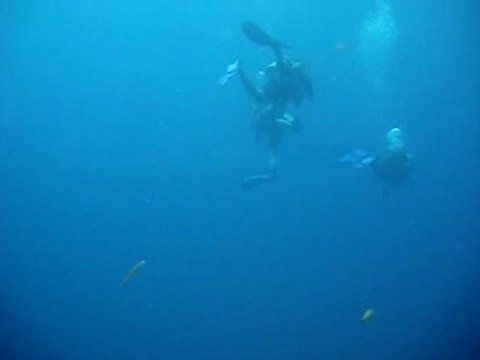 Divezone.net, Plongee Havelock, Iles Andaman, Inde