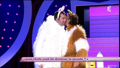 Ben & Tsamere - Les chats vont-ils dominer le monde