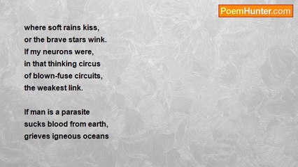 Patti Masterman - If birthdays didn't make you older