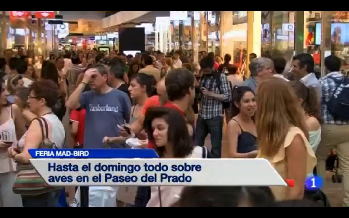 NShoppingRTVE