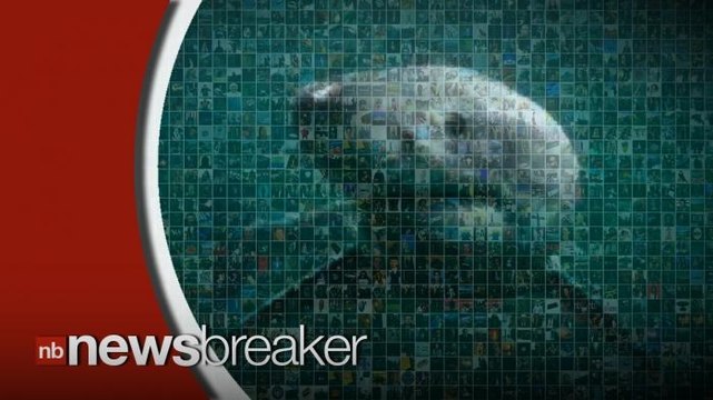 Many Online Question if Video Featuring Man Fighting Off Great White Shark is Real