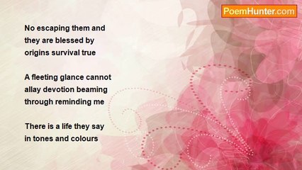 Ivan Donn Carswell - Mementos