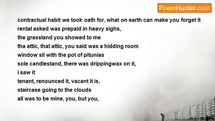 trinity aana - solemnity.reflect