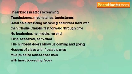 kendall thomas - Birds Scream in Attics