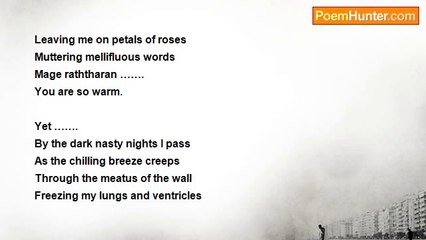 Kolitha Lelwala - Warmth