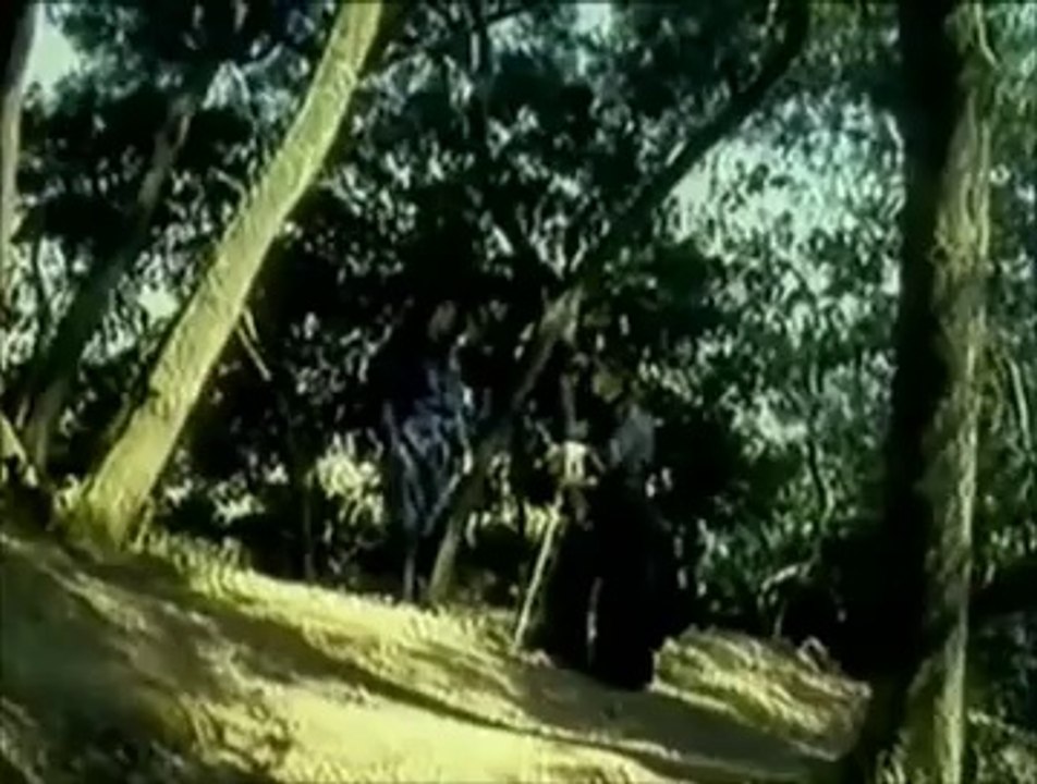 Ninja Death 2 (unedited)