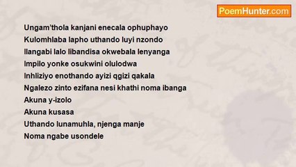 LLM Mbatha - [Zulu, inkondlo] Sengisho okuningi ngokushesha yini