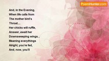 elysabeth faslund - Meanings For Chicks