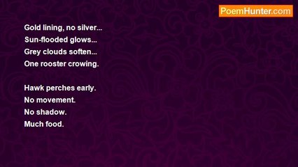 elysabeth faslund - Storm