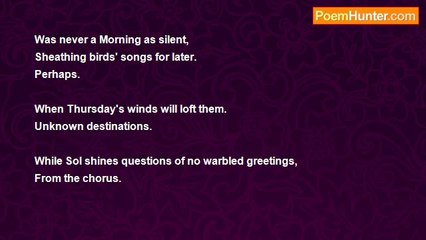 elysabeth faslund - .................Morning Silence?