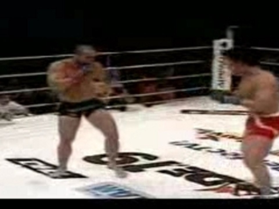 Best of Vanderlei Silva