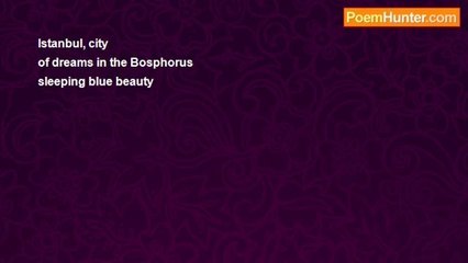 Nizamettin Esen Haymanali - The Dream of Istanbul  (haiku)