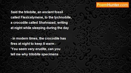 Margaret Alice - Fun: The Trilobite, An Ancient Fossil Called Flexicalymene