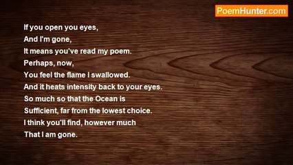 Delilah Miller - Phoenix-Minded