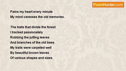 cyclopseven Ram - Pengkalan Hulu