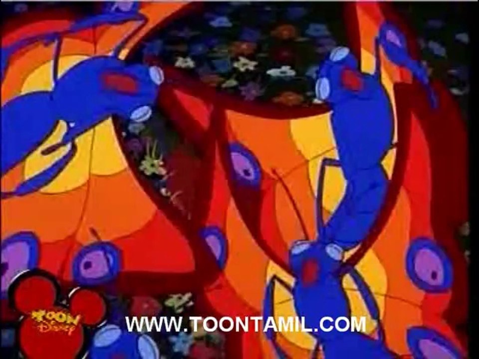 timon and pumba - Song Yimmy Yimmy Yimmy [Tamil]