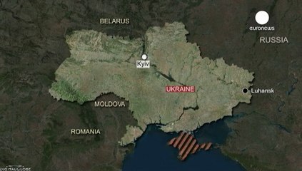 Ukranian military plane 'shot down'