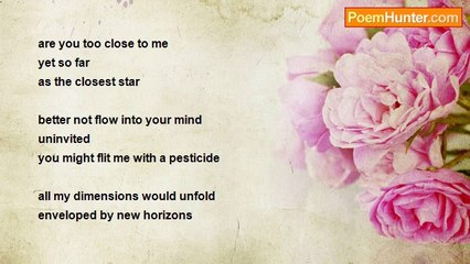 shimon weinroth - Perspectve