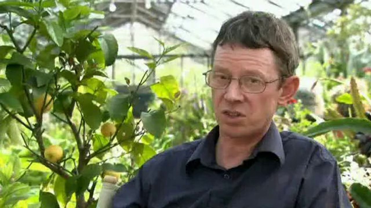 The A To Z Of TV Gardening - C