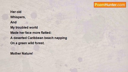 Atef Ayadi - Tropical Garden