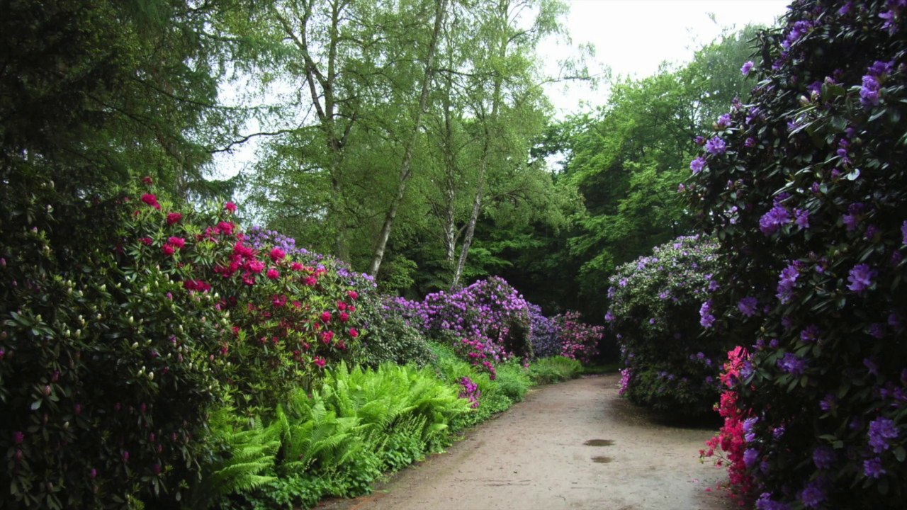 HAMBOURG GUIDE visite tour avec un guide français