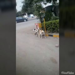 har kesi ko nahin milta Drbab Mah