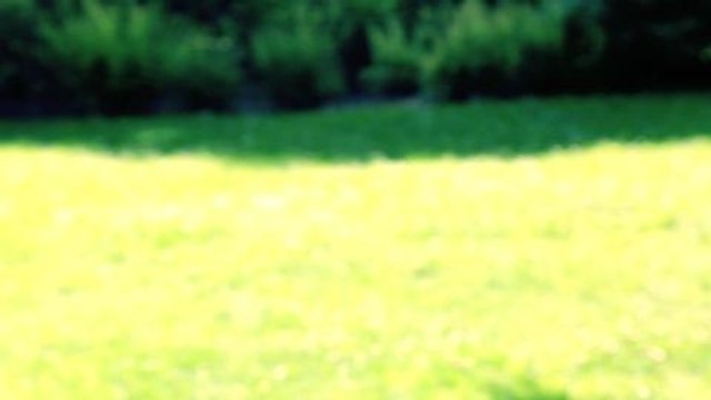 La rédac en lunettes de soleil