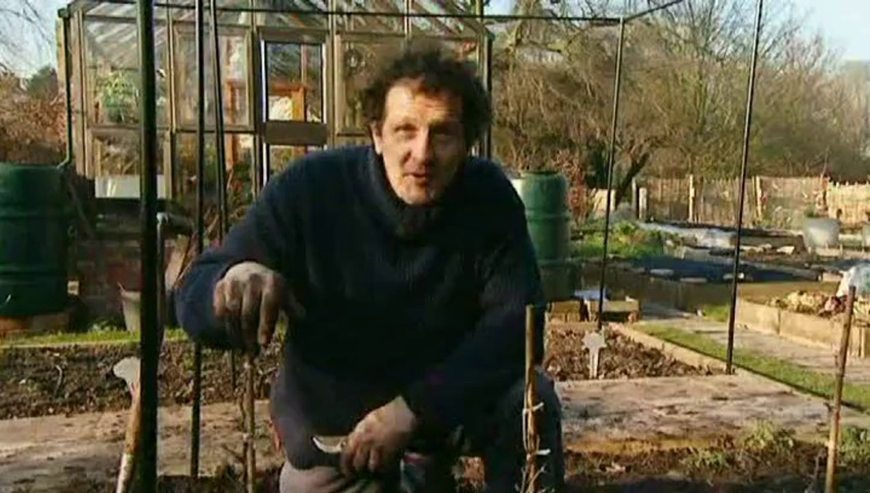The A To Z Of TV Gardening - G