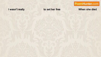 Susie Sunshine - Set her Free