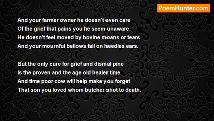 Francis Duggan - To A  Cow In Mourning
