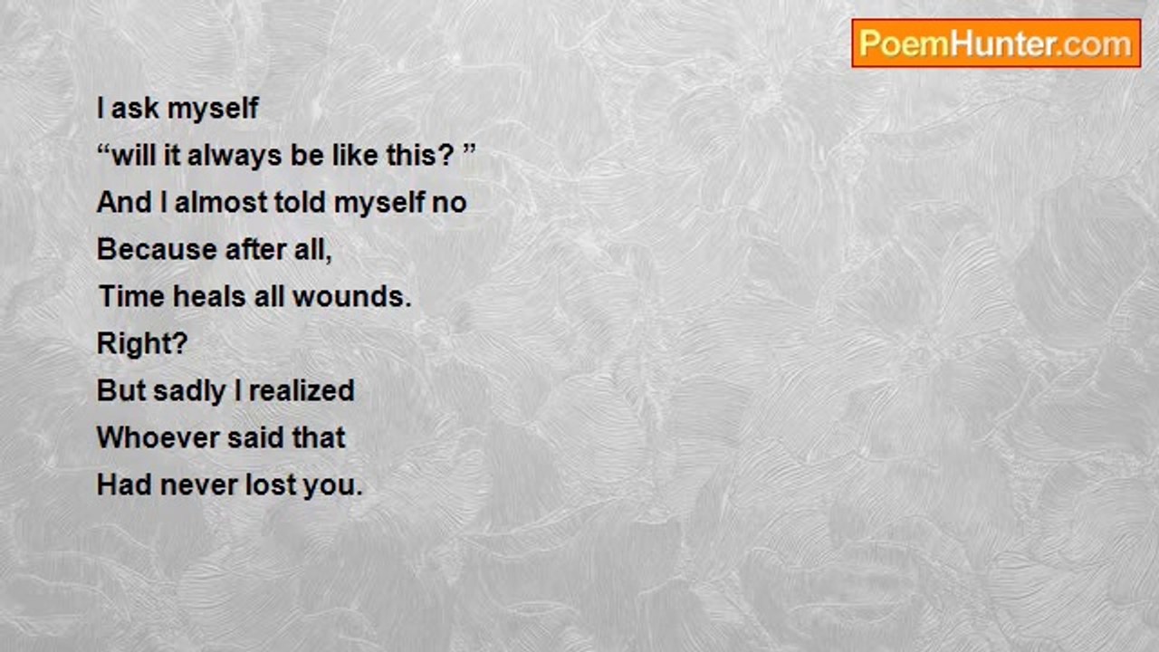 shannon wright - Time heals all wounds.  RIGHT? !