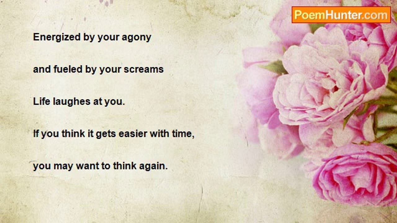 shannon wright - Life laughs at you