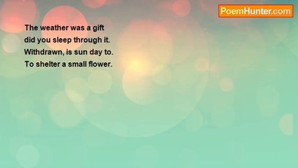 Is It Poetry - i can withdraw