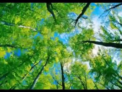 愛の恵み Générosité (エンリコ・マシアス & ENRICO MACIAS) シャンソン / 訳詞初稿 Sima