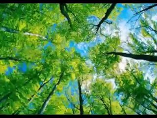 愛の恵み Générosité (エンリコ・マシアス & ENRICO MACIAS) シャンソン / 訳詞初稿 Sima