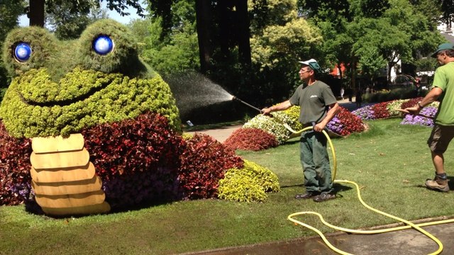 Avec Claude Ponti au jardin des plantes