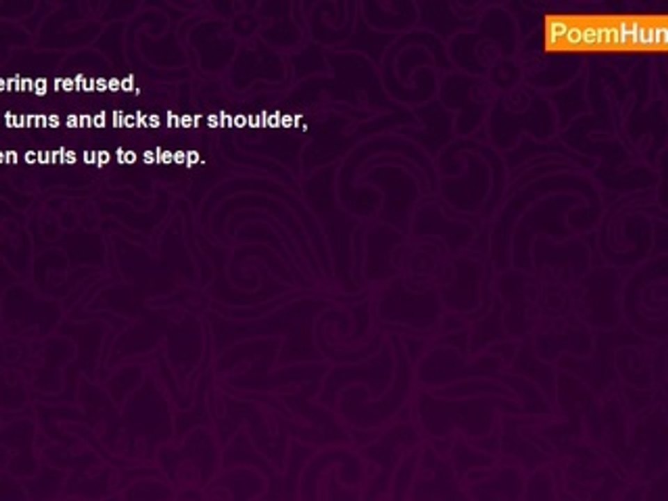 Katz Haus - Dead Mouse Haiku