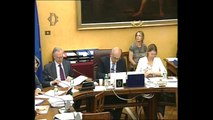 Roma - Audizioni su prospettive industriali Ue (13.06.14)