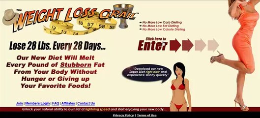 The Stupid Simple System $100 Day Video Series 01 An Overview