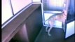 Smart Dog Escapes Cage And Frees Rest Of Dogs In Dog Kennel