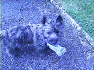 Jaudy et la bouteille