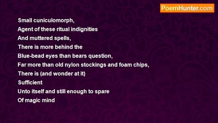 Pamela Ann Frances Crane - Rediscovering Rabbit Week