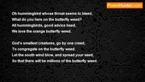 Juan Olivarez - The Butterfly Weed