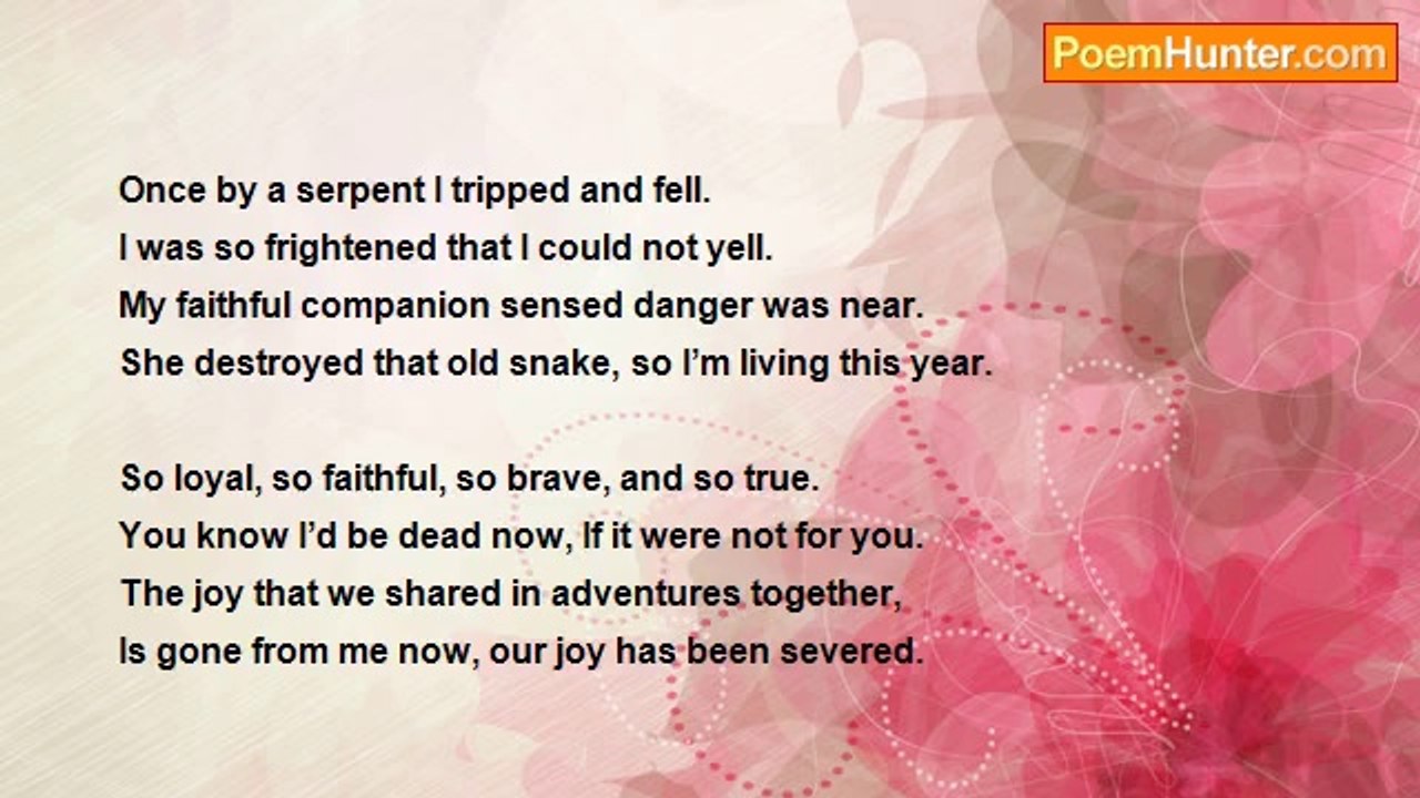 Robert Edgar Burns - A Boy's Best Friend